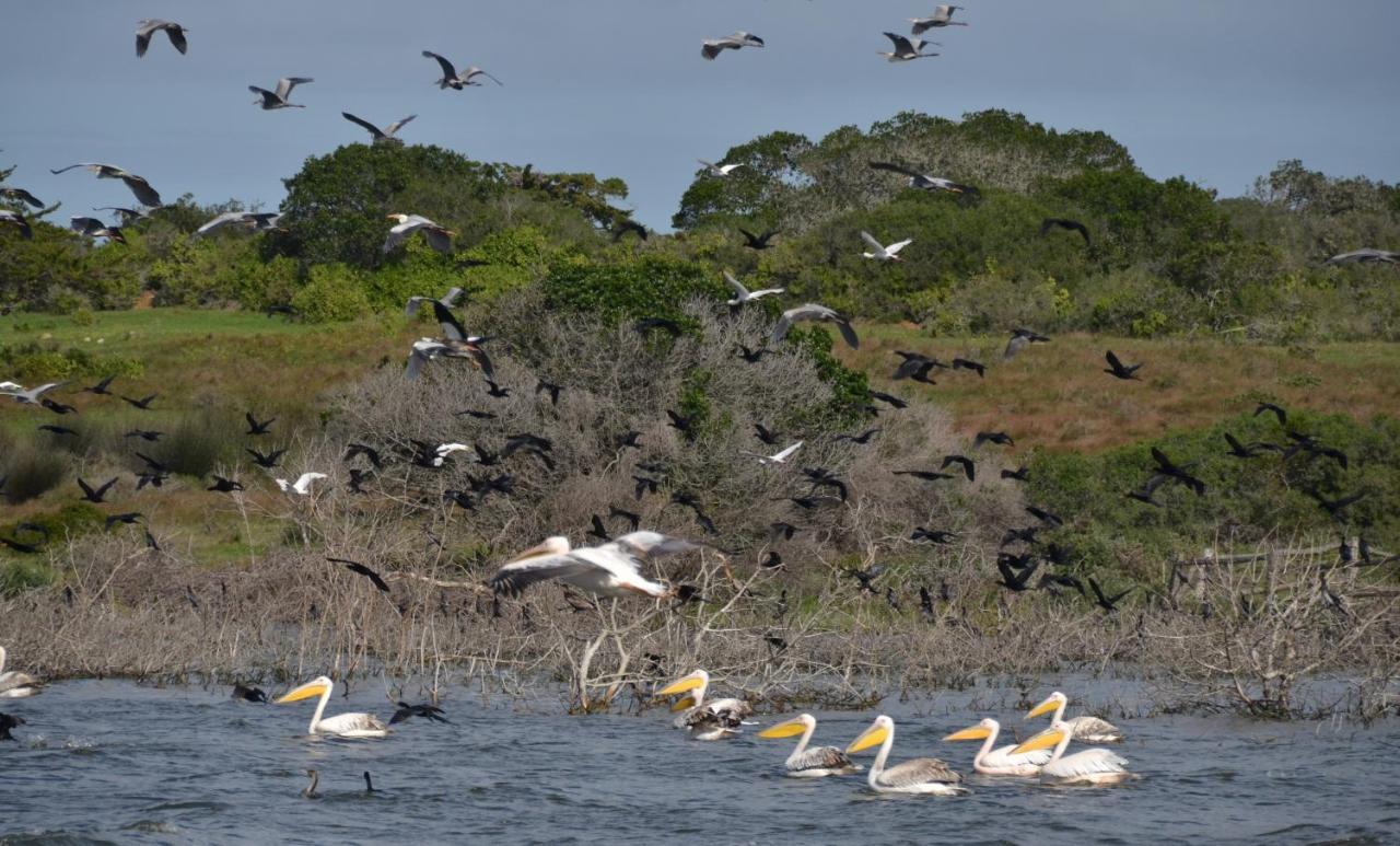 De Hoop Collection - Opstal Houses De Hoop Nature Reserve Buitenkant foto