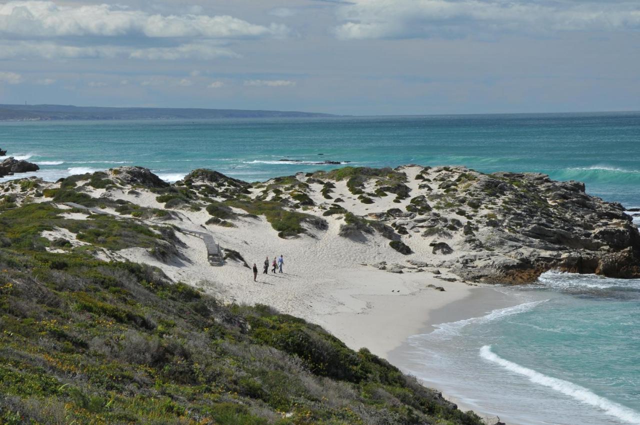 De Hoop Collection - Opstal Houses De Hoop Nature Reserve Buitenkant foto