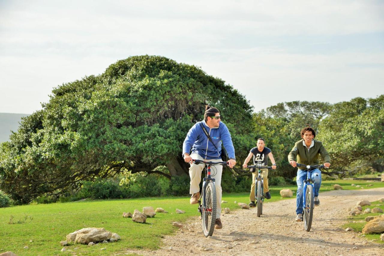 De Hoop Collection - Opstal Houses De Hoop Nature Reserve Buitenkant foto